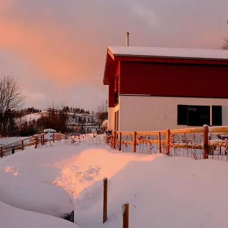 Luxury With Sauna, 200 M From The Area Villa *