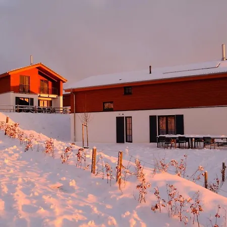 Villa Luxury With Sauna, 200 M From The Area Winterberg