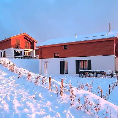 Luxury With Sauna, 200 M From The Area Winterberg