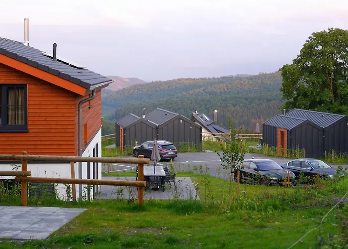 Villa Luxury With Sauna, 200 M From The Area Winterberg