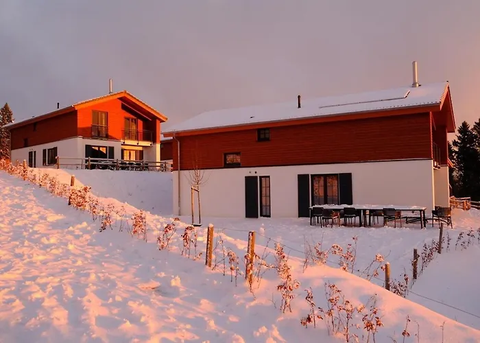 Villa Luxury With Sauna, 200 M From The Area Winterberg